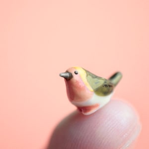 Worlds Smallest Bird • Tiny Song Bird • Miniature Porcelain • Seeds of Peace • Souvenir Gift • Terrarium Bird (AP026)
