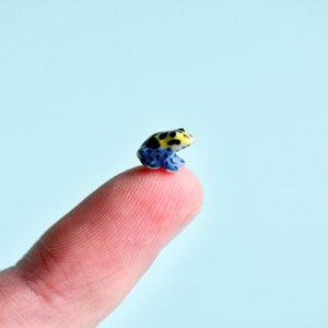 以下が含まれることがあります： 小さな青と黄色の毒矢ガエルが指の上に座っています。カエルは黒い斑点があり、とてもカラフルです。