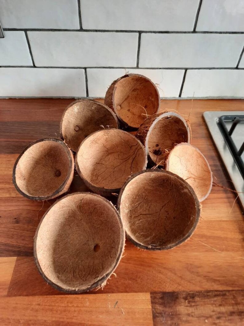 Coconut Husk Half Shell Hide Bowl Natural Toys Coco Fibre Etsy UK