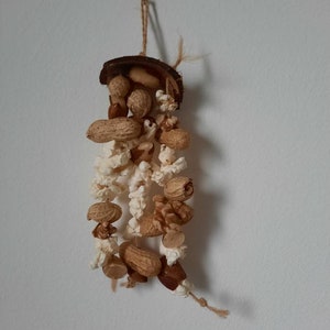 Hanging Toy | coconut husk, popcorn, peanuts in shell - forage toys for hamsters, rats, mice, gerbils, birds boredom breaker enrichment toys