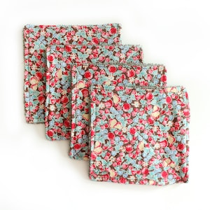 Fruit Apple Reusable Japanese Fabric Dryer Sheets | Handmade Eco Friendly Make Up Wipes