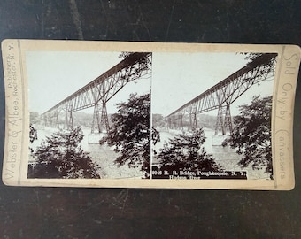 Foto stereoscopica di Webster Albee: Ponte ferroviario sul fiume Hudson a Poughkeepsie, New York.