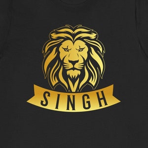 Punjabi Shirt / Funny Desi Gift For Him & Her / Proud Indian T-Shirt / Punjabi Pride TShirt / Hindi Tee / Gifts For Punjabi / India Punjab