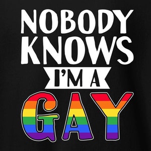 Lustiges Gay Pride Hoodie: Regenbogen LGBTQ+ Pullover