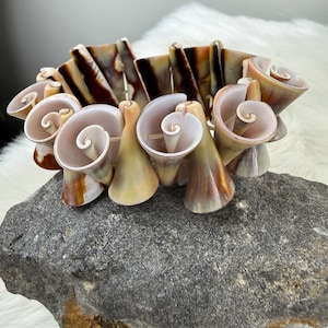 May include: A seashell bracelet featuring a mix of spiral and rectangular shell pieces. The bracelet showcases a palette of beige, brown, and white hues. The spiral shells have a conical shape, adding a unique texture to the jewelry.
