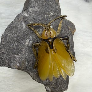 May include: A large, detailed insect brooch with a yellow-amber body and wings, set against a dark gray stone. The insect has intricate leg and antenna details, with a dark brown outline. The wings are translucent, and the brooch appears to be made of resin.