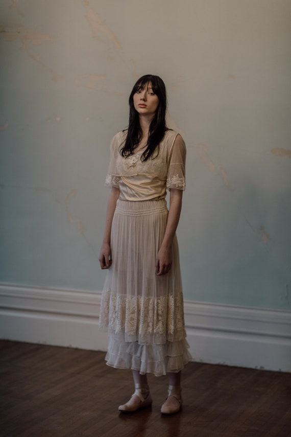 RARE 1900s Edwardian tulle embroidered filet lace