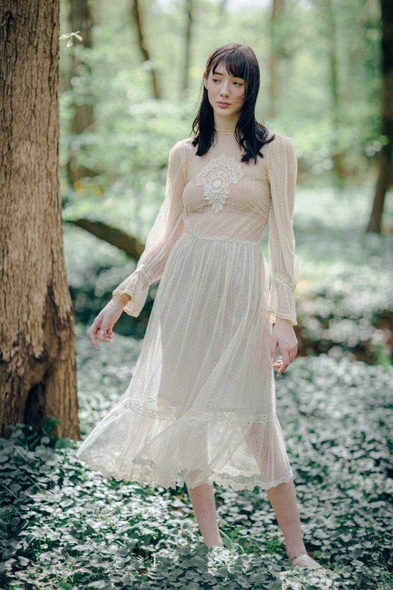 Incredible C. 1900s Edwardian appliqued net dress