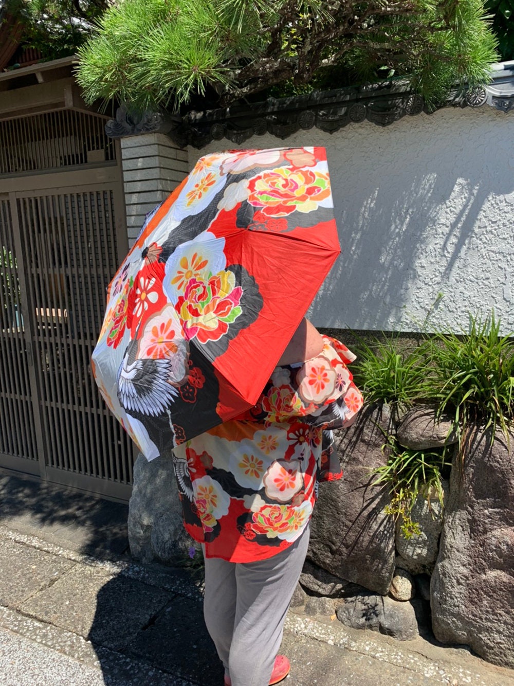 Fat Cat Umbrella Hand Illustrated Parasol Inspired by Final Etsy