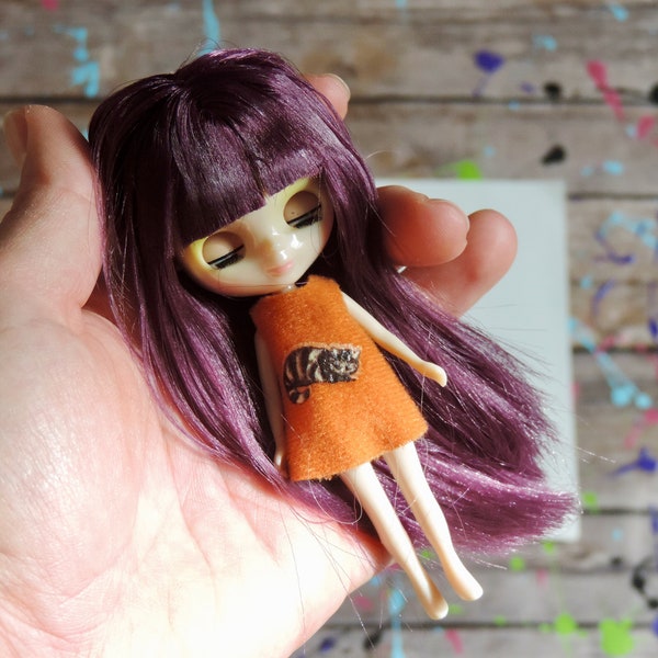 Petite Blythe Doll for Customizing, Blythe Doll Parts, Custom Blythe, Blythe Custom, Blythe, Blythe Dolls, Blythe Doll Kit, Factory Blythe