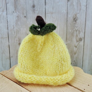 May include: A yellow knitted hat with a green leaf and brown stem on top. The hat is made of soft yarn and has a simple design.
