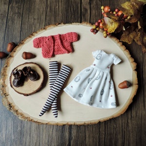 Custom Blythe Hedgehog Outfit, Blythe Shoes, Blythe Clothes, Blythe Socks, Blythe Hat, BeBe Blythe, Blythe Dolls, Doll Clothing