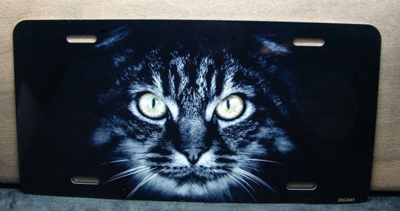 Cat Eyes Metal License Plate Tag For Cars And Suvs Animal Etsy