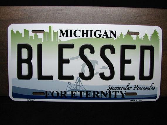 I Love Michigan Metal Novelty License Plate