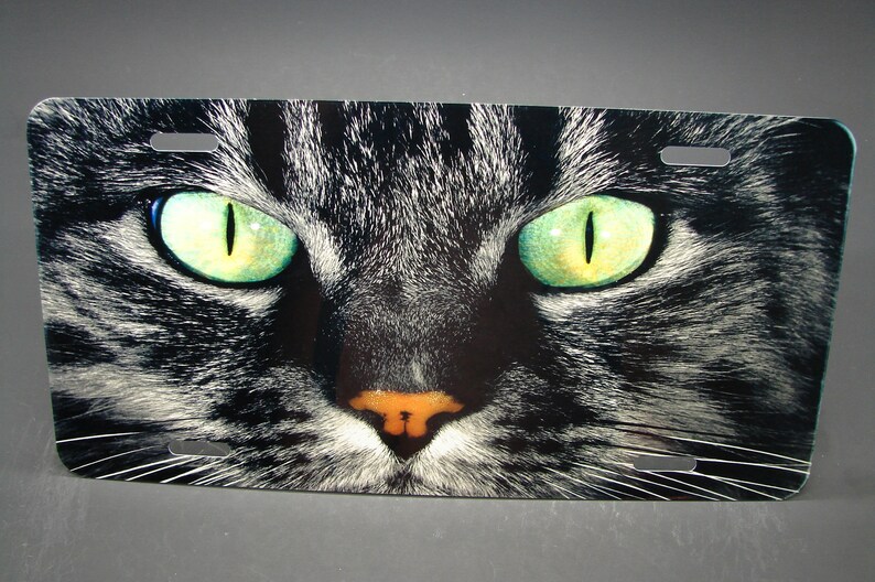 Cat Eyes Metal License Plate Tag For Cars And Suvs ...