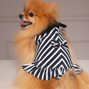 Cute Puppy Dress - Black and White Striped Dog Dress, Puppy Costume, Matching Outfit for Dogs, Small Dog Dress, Pet Gift, Dog Clothing
