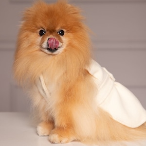 Pomeranian winter coat cheap