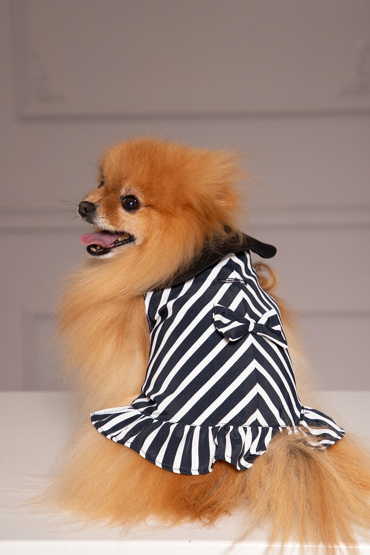 Cute Puppy Dress Black and White Striped Dog Dress, Puppy