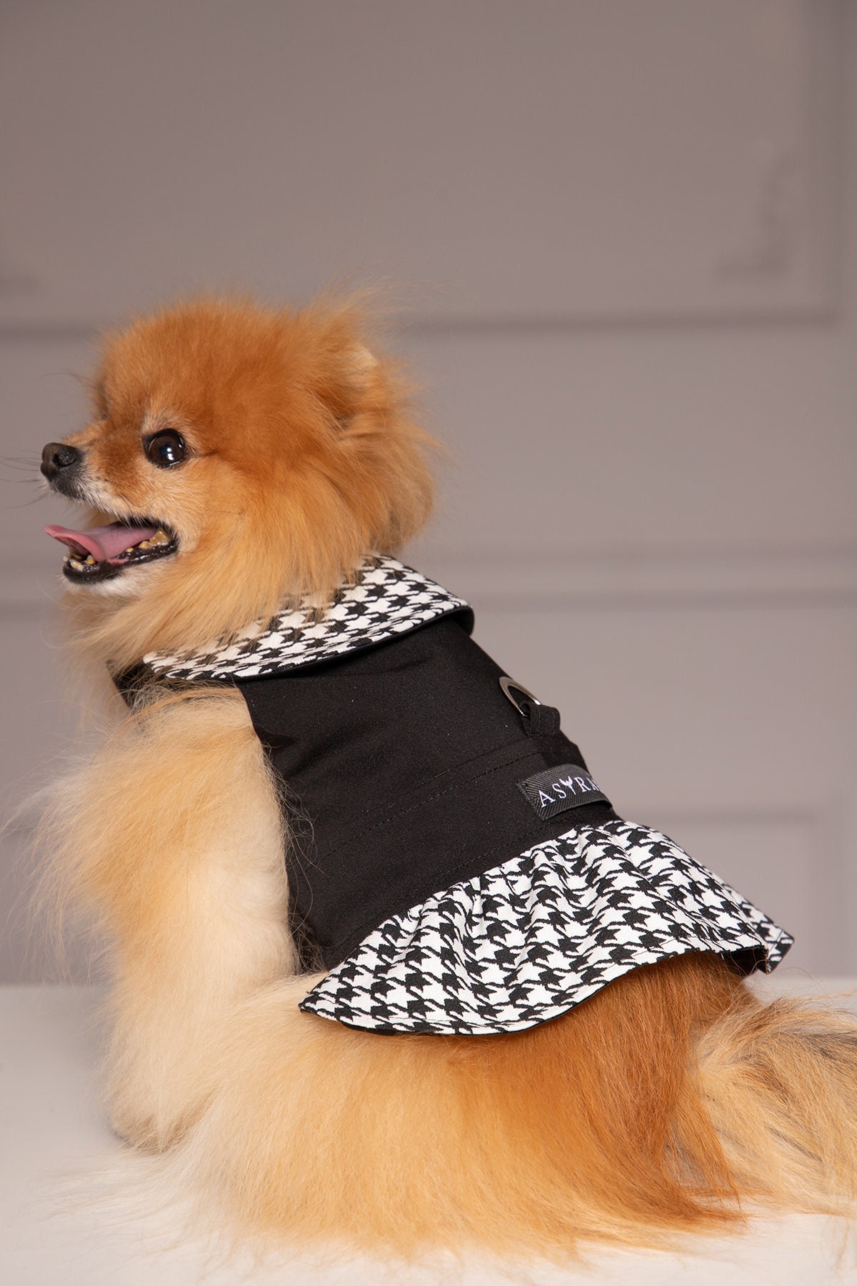 Cheap dog coat hotsell