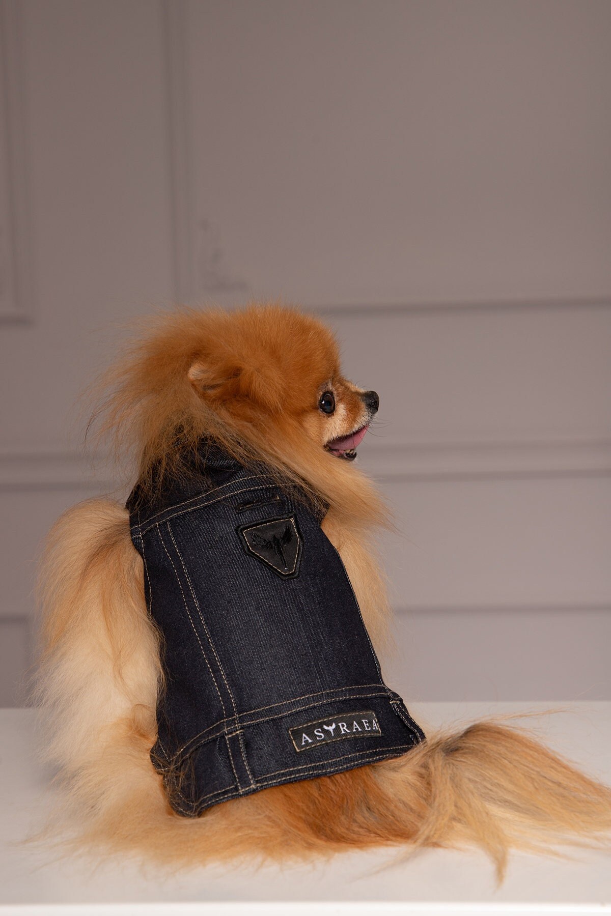 Puppy/Small Dog Shirt Jacket - Dog Outfit, Denim Jacket for Dog, Pet Apparel, Chihuahua Clothes, Denim Dog Vest, Dog Costume, Matching Dog