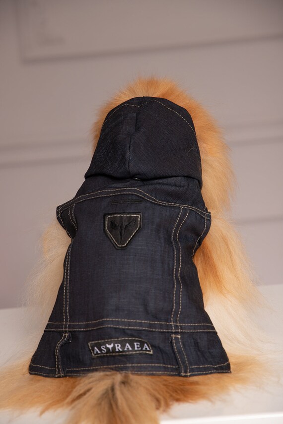 Pomeranian jacket top