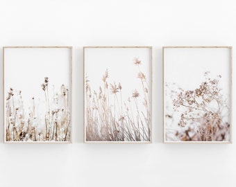 Botanical Print Set of 3, Dry Grass Print, Printable Art, INSTANT DOWNLOAD, Modern Minimalist Poster, Printable Wall Decor