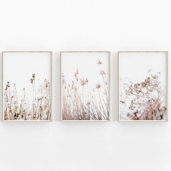 Botanical Print Set of 3, Dried Grass Wall Art, PRINTABLE Art, Photography Printable Wall Decor, Poster