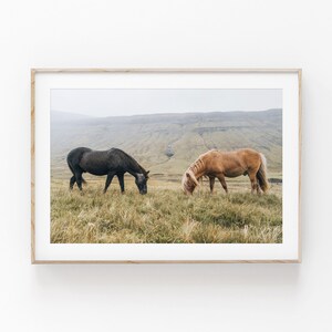 Horse Print, Farmhouse Art, Two Horses Wall Art, PRINTABLE Art, Photography, Printable Wall Decor, Poster
