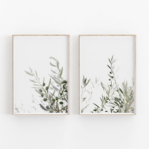 Botanical Print Set of 2, Olive Branch Wall Art, PRINTABLE Art, Photography Printable Wall Decor, Poster