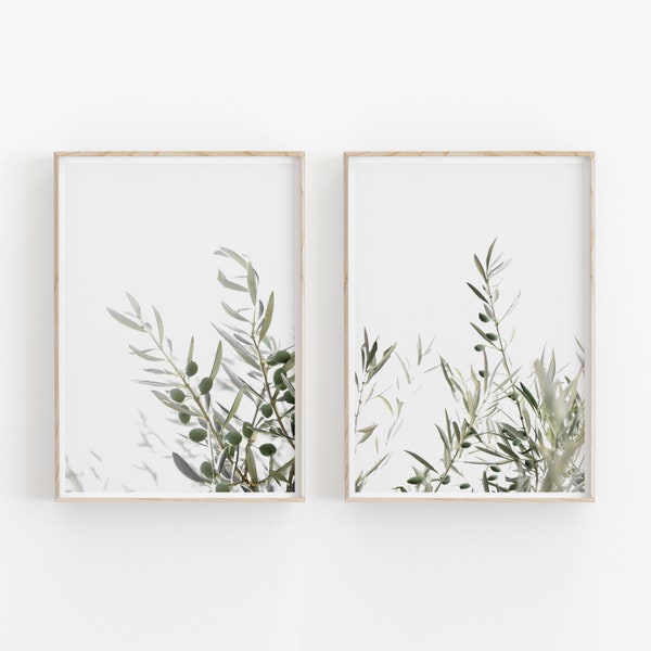 Olive Branch Farmhouse Etsy