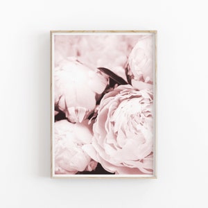 Peony Print Set of 4, Pink Floral Print, Printable Art, INSTANT ...