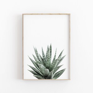 Succulent Print Set of 3 Botanical Print Printable Art - Etsy