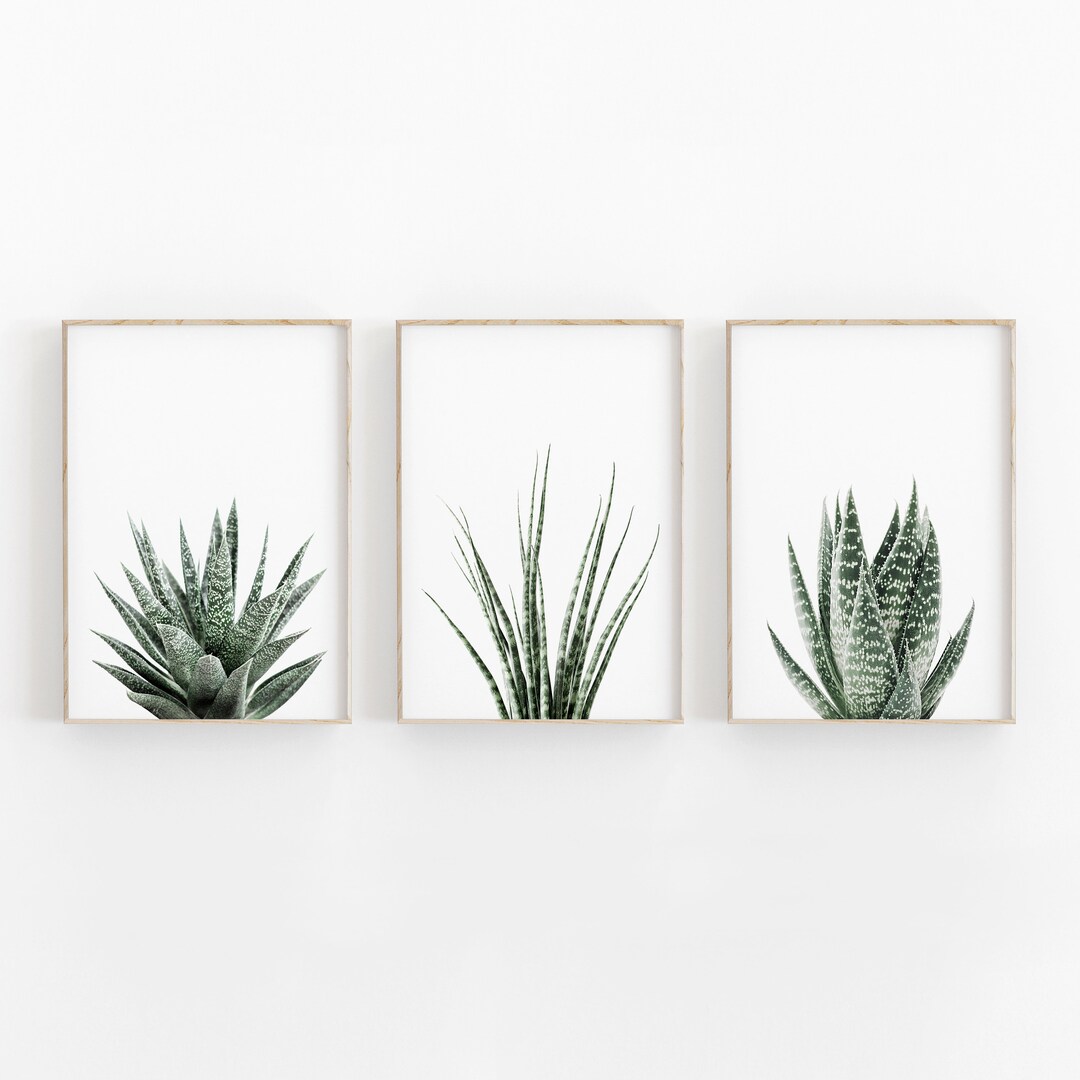 Succulent Print Set of 3 Botanical Print Printable Art - Etsy