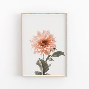 Dahlia Print, Flower Wall Art, INSTANT DOWNLOAD, Modern Minimalist Poster, Printable Wall Decor