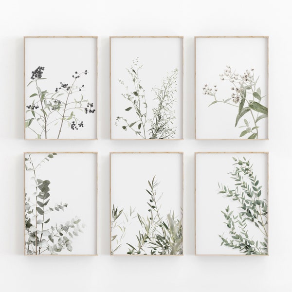 Botanical Print Set of 6, Botanical Print, Printable Art, INSTANT DOWNLOAD, Modern Minimalist Poster, Printable Wall Decor