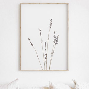Lavender Print, Farmhouse Art, Modern Minimalist Poster, Printable Wall Decor image 2
