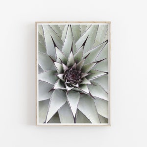 Kaktus Sukkulenten Druck, Botanische Wandkunst, DRUCKBARE Kunst, Fotografie, druckbare Wanddekoration, Poster