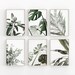 see more listings in the Todo section