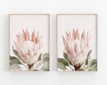 Protea Print Set of 2, Botanical Print, Printable Art, INSTANT DOWNLOAD, Modern Minimalist Poster, Printable Wall Decor