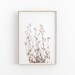 Botanical Print Set of 6 Farmhouse Print Printable Art - Etsy