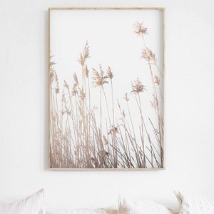 Botanical Print, Pampas Grass Art, Farmhouse Art, Modern Minimalist Poster, Printable Wall Decor image 2