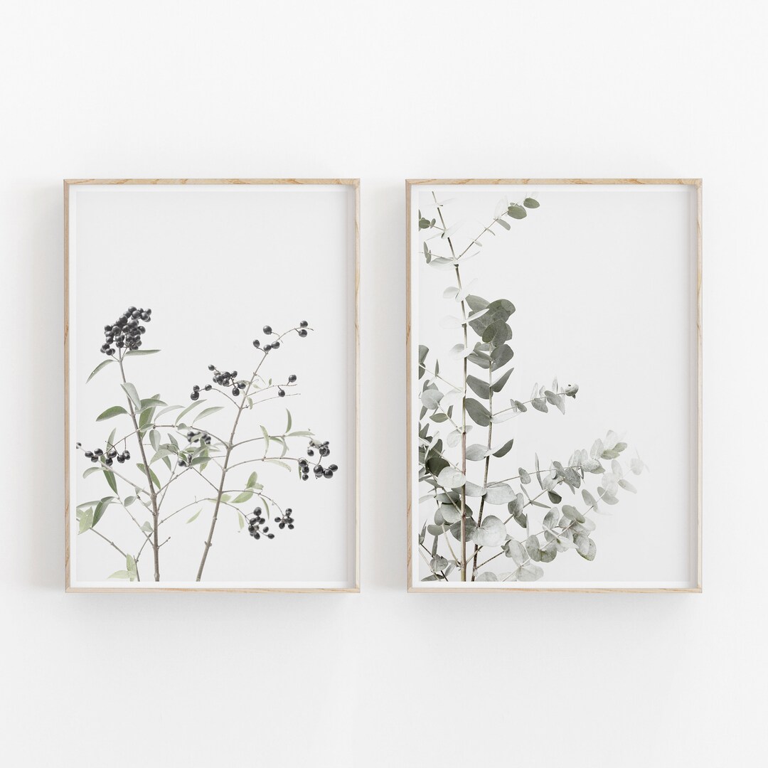 Set di stampe ad acquerello di eucalipto: arte botanica verde