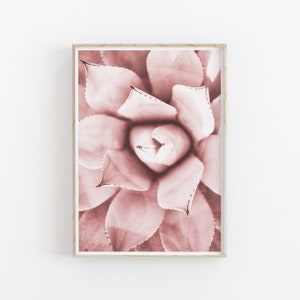 Pink Succulent Print, Botanical Wall Art, PRINTABLE Art, Photography Printable Wall Decor, Poster
