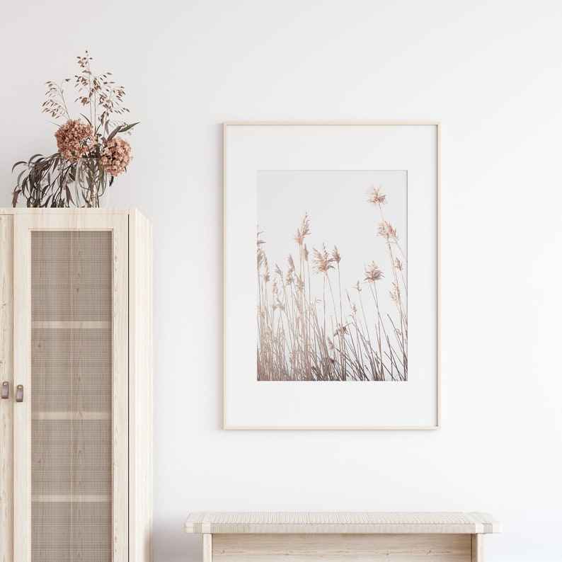 Botanical Print, Pampas Grass Art, Farmhouse Art, Modern Minimalist Poster, Printable Wall Decor image 3