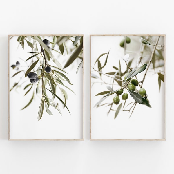 Olive Branch Farmhouse Etsy