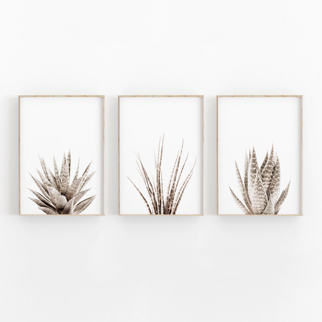 Succulent Print Set of 3, Botanical Print, Printable Art, INSTANT ...