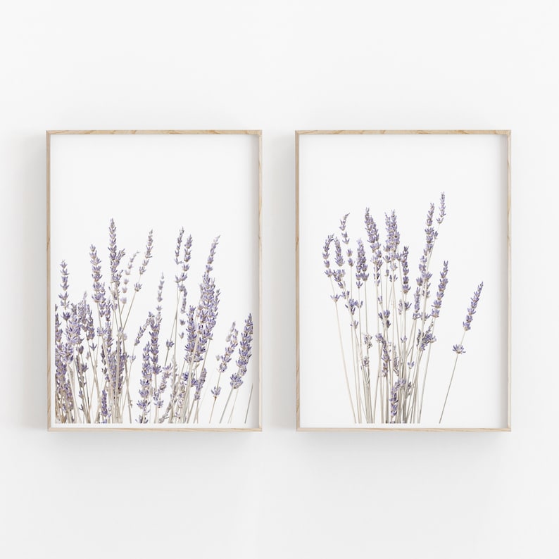 Lavender Print Set of 2, Botanical Print, Printable Art, INSTANT DOWNLOAD, Modern Minimalist Poster, Printable Wall Decor image 1