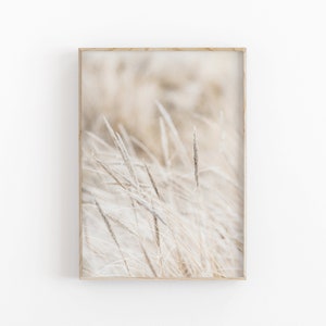 Botanical Print, Dried Grass Art, Farmhouse Art, Modern Minimalist Poster, Printable Wall Decor