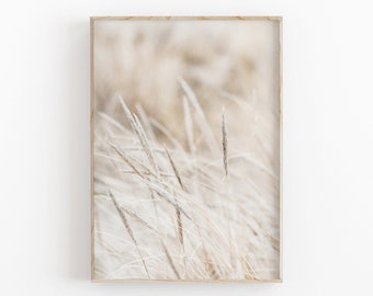 Botanical Print, Dried Grass Art, Farmhouse Art, Modern Minimalist Poster, Printable Wall Decor