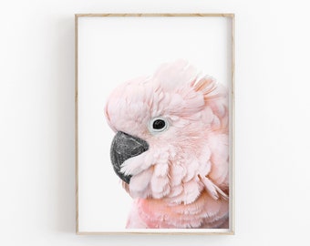 Cockatoo Print, Instant Art, INSTANT DOWNLOAD, Modern Minimalist Poster, Printable Wall Decor